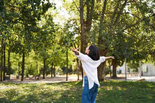 Camino entre árboles con luz suave, ideal para un paseo