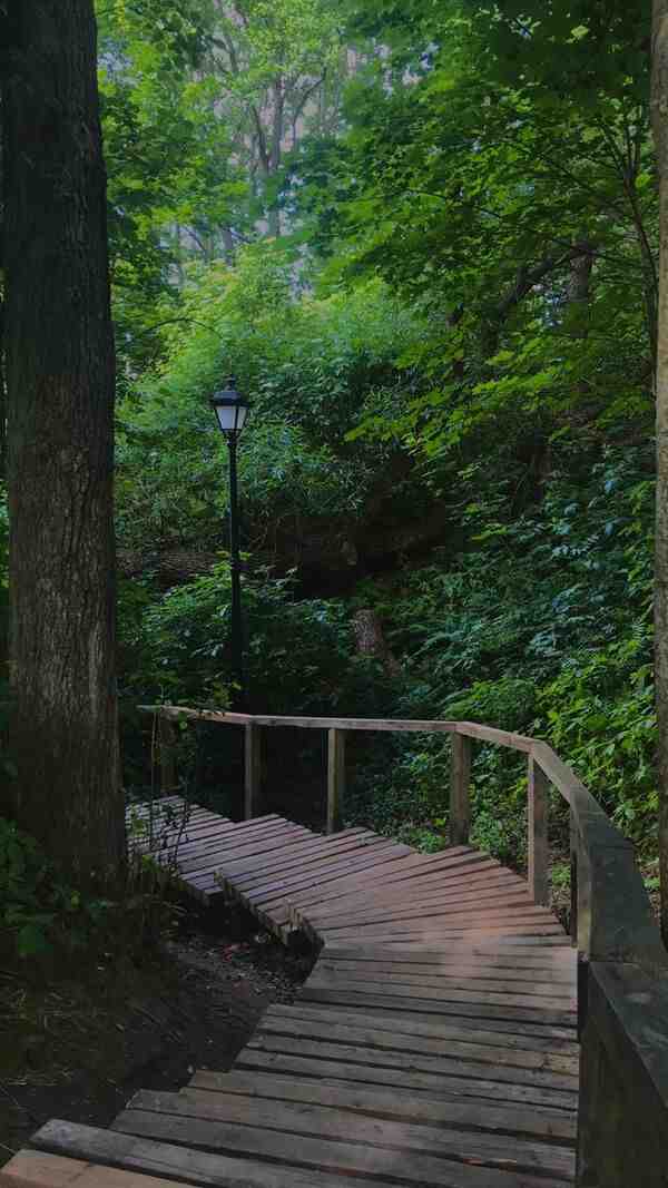 Sendero de montaña con paisaje amplio, un entorno natural para un paseo tranquilo
